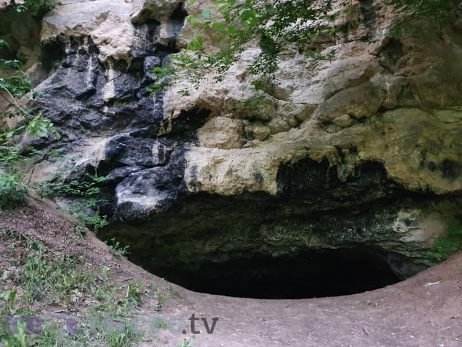 Фото: Тарас Бабенчук