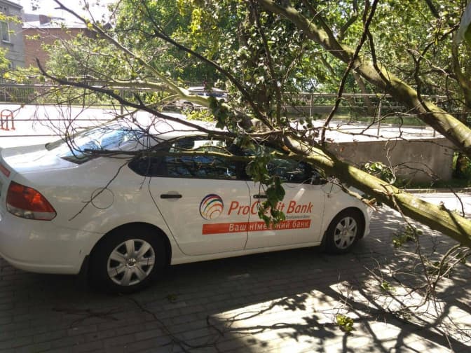 Фото: Катерина Рибій