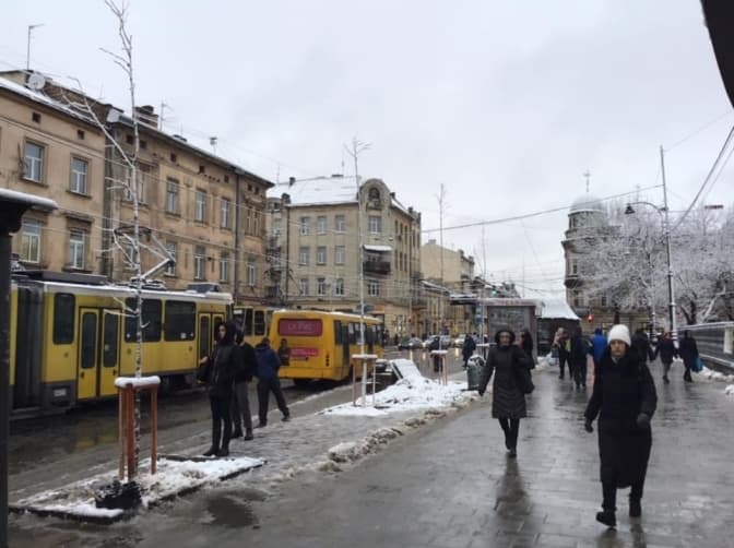 У Львові на вулиці Городоцькій посадили платани