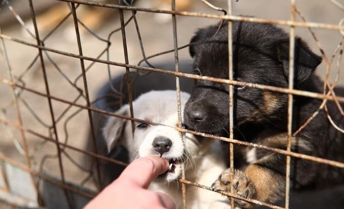 фото: Телеграф