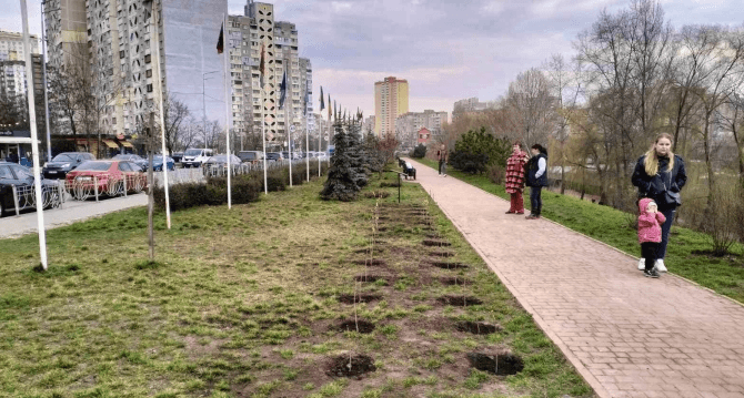 У Києві висадили алею бузку на честь полеглого воїна
