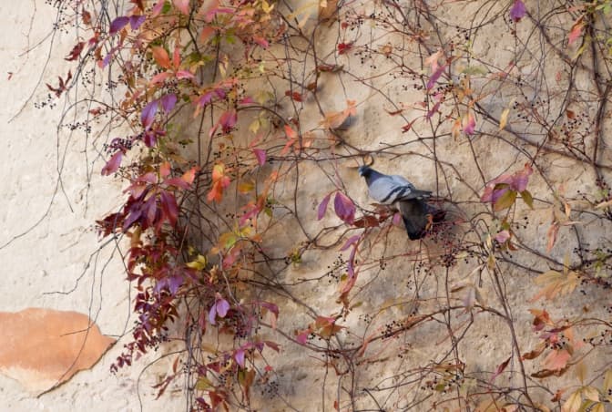 фото: Катерина Москалюк