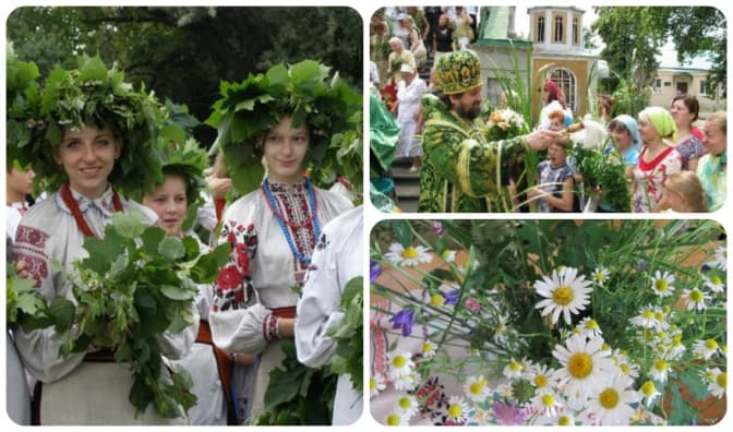Львів'ян закликають не нищити зелень до свята Трійці