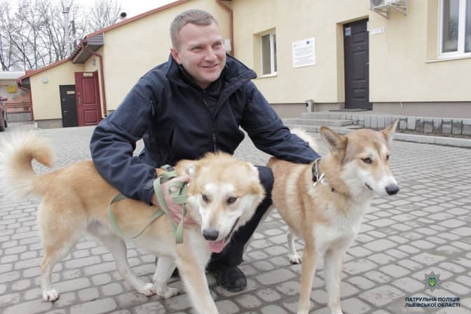 Поліція Львова забрала двох песиків з ЛКП «Лев». Фото