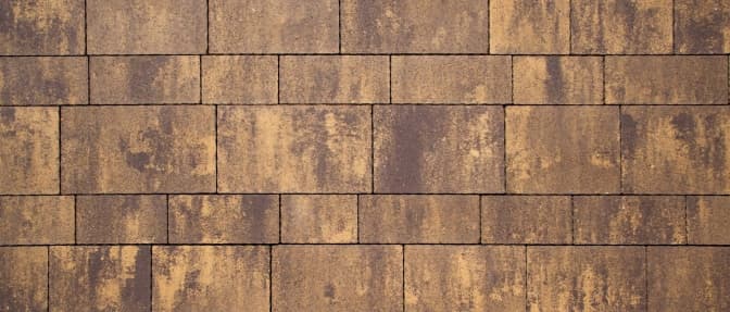 Фото: ТзОВ «Магік»