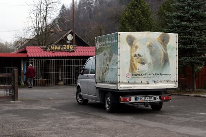 У ведмежому притулку біля Львова з’явились двоє нових мешканців. Фото