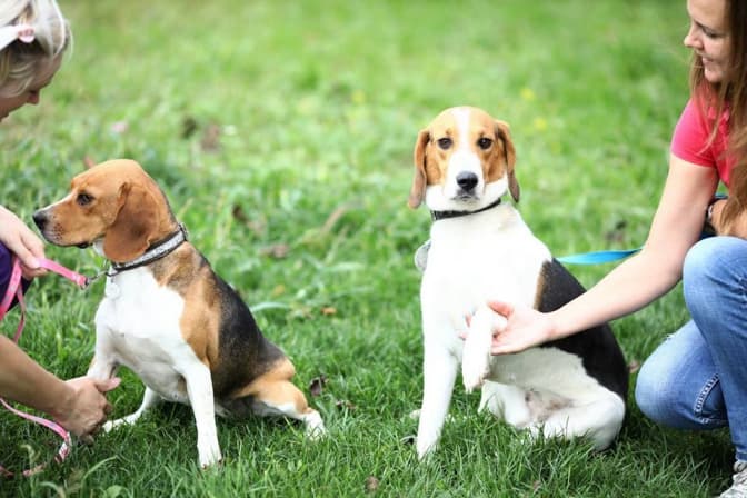 Фото: Марта Сирко