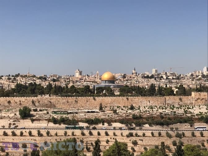 Ближче до Бога або Як львів’яни-паломники мандрують Святою Землею. Влог