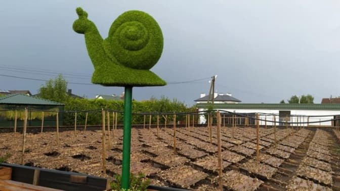 Вареники з равликів і текіла для туристів. Як львівські підприємці рятують свій бізнес