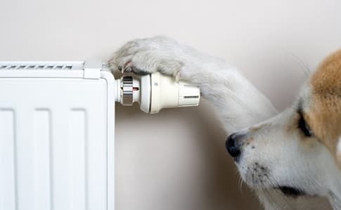 В Україні скоротили опалювальний сезон? Що відомо