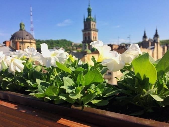 Погода на вихідних у Львові. Що прогнозують синоптики