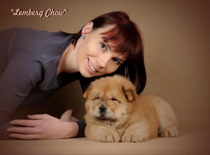 Чому собаку карають за злочин його господаря?