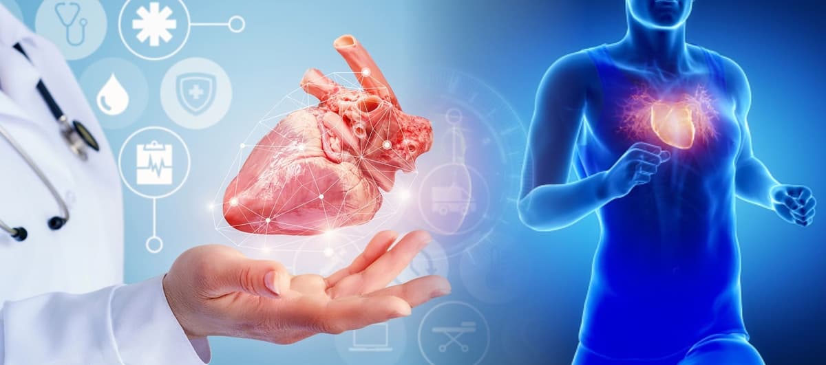 «Найбільше інфарктів стається в ніч з неділі на понеділок». Інтервʼю з кардіологами