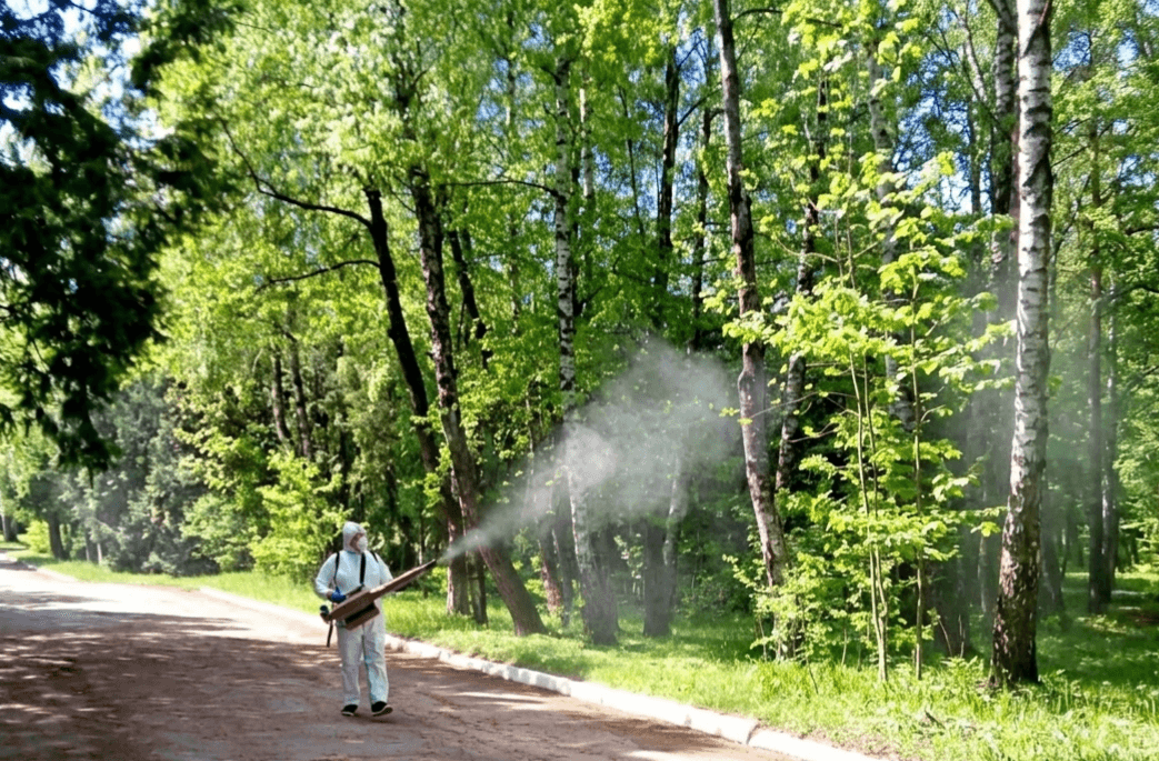 Сучасний підхід: обробка гарячим туманом / фото Львівського обласного центру контролю та профілактики хвороб