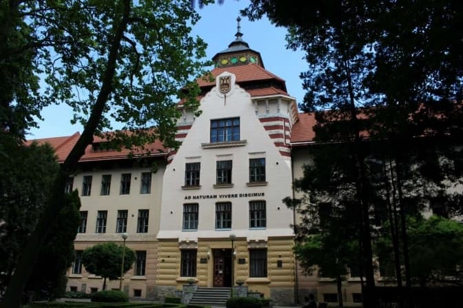 Як будувався Львів. Поспілкуйся в чаті з Левинським і дізнайся більше