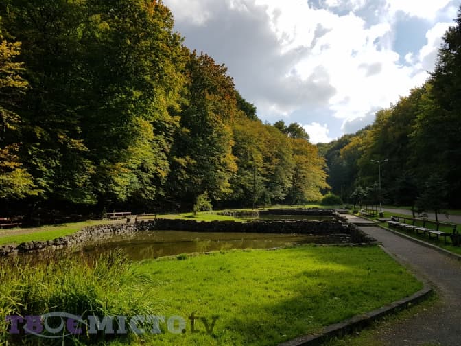Нетуристичний Львів: пивний сад, відьмин будинок та вермут «Квіти Погулянки»