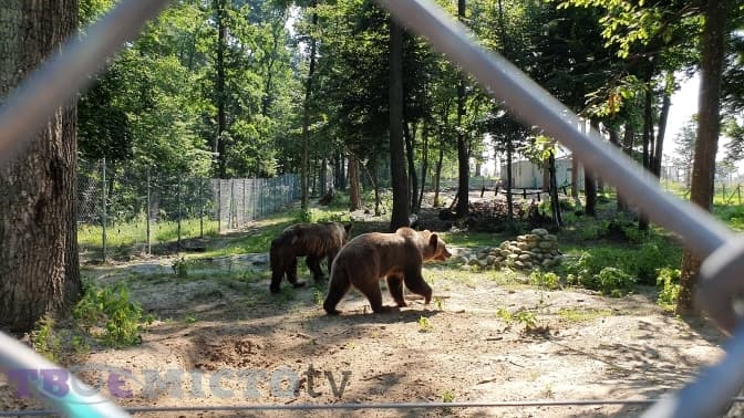 Фото: Дар'я Кучер