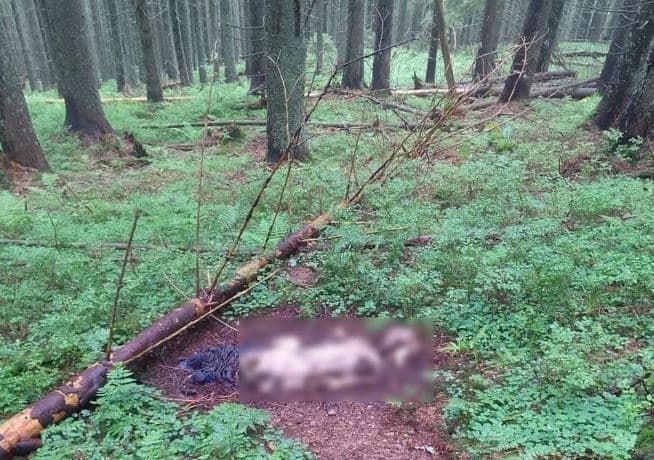 Скелет, знайдений у Карпатах, належить 29-річному львів’янину