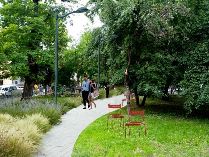 Зелений простір на Бандери та кабінет імені Гаррі Поттера. Що хочуть втілити у Галицькому районі