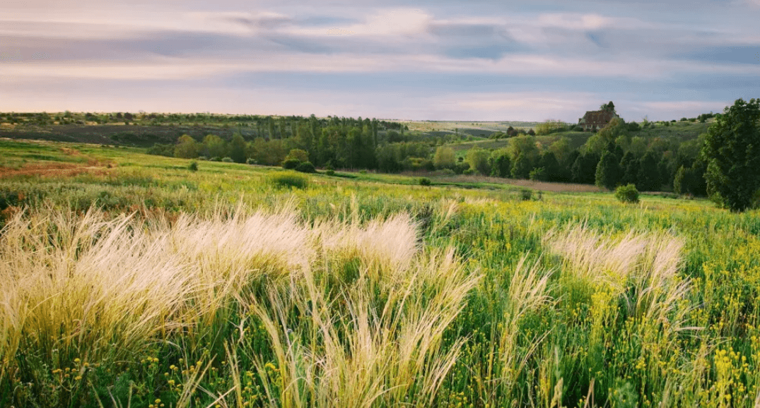 «Хочуть продати і розорати». На Львівщині розслідують нищення цінних природних територій