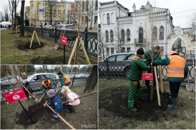 У Києві на бульварі Шевченка традиційно висадили нові дерева
