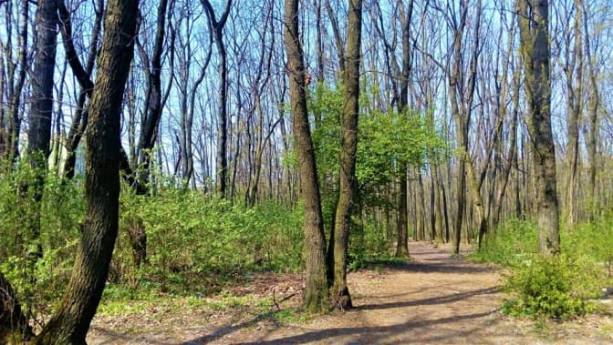 Фото Кращий Сихів