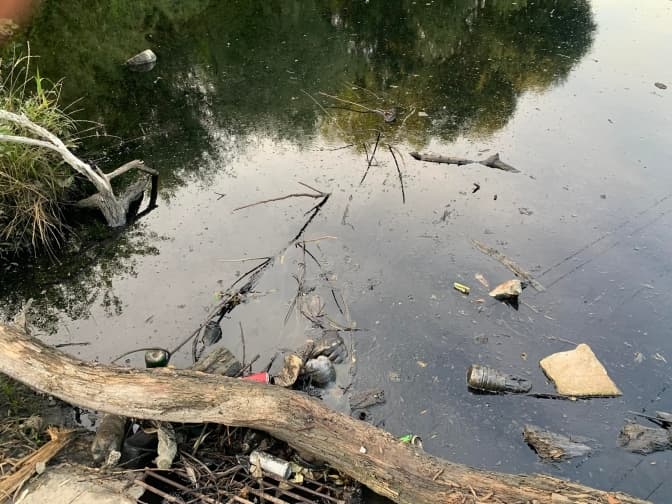 Фото: Орест Залипський