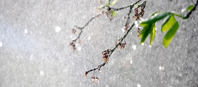 У Львові сьогодні прогнозують дощ з градом