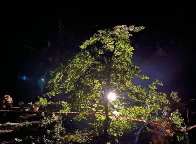 У Стрийському парку під час буревію загинули двоє людей