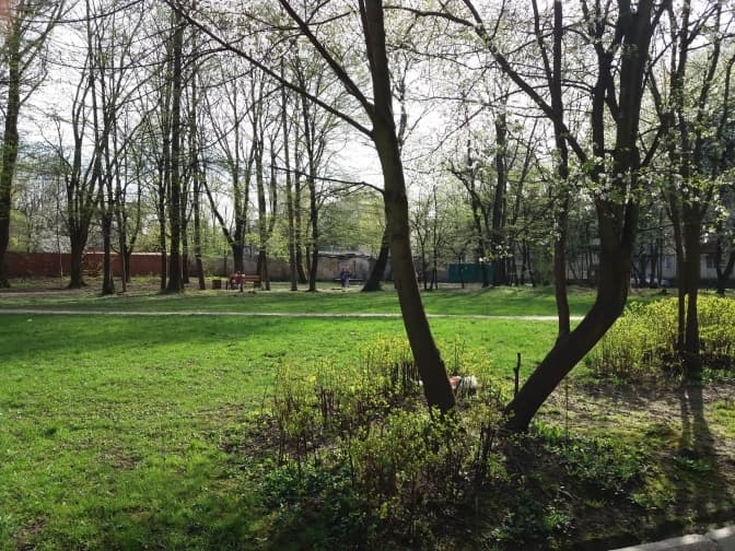 У Львові затвердили межі скверу «Шкільний». Схема