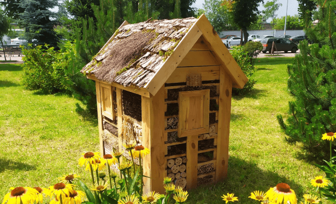 У парку «Веселка» в Києві встановили будиночок для комах