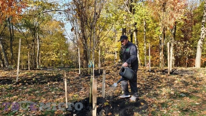 У Стрийському парку висадили куточок з магноліями, сакурами та райськими яблунями. Відео