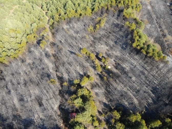 Львівські рятувальники показали масштаби спалення сухої трави. Відео