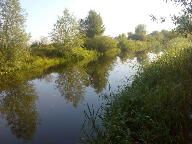 Понад 100 га землі поблизу річки на Львівщині повернули громаді