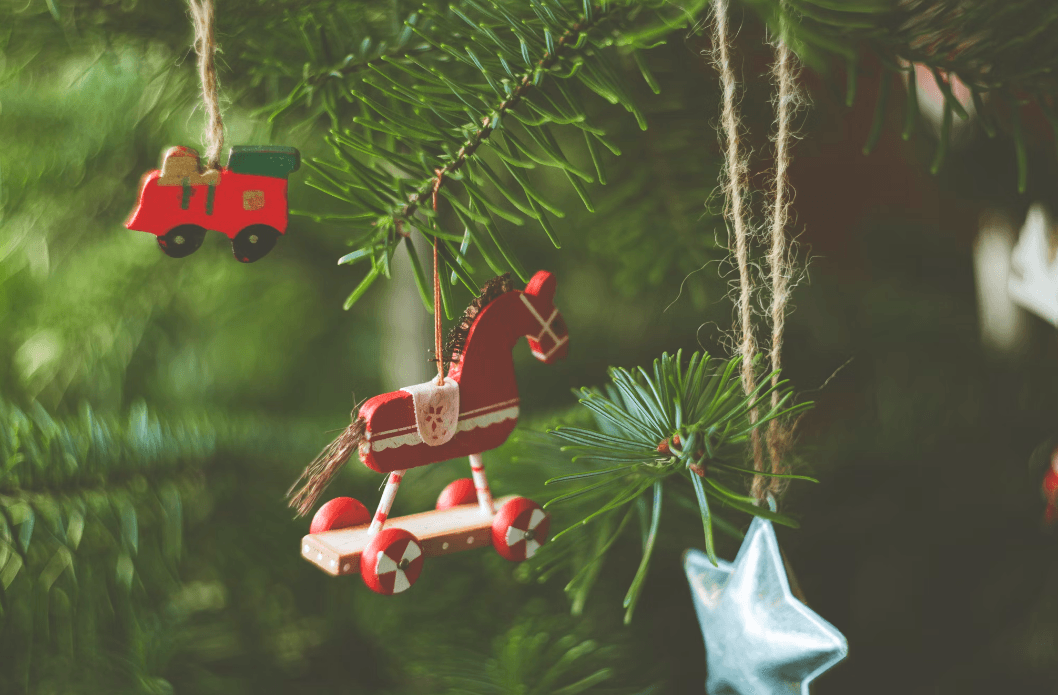 Де у Львові купити ялинку. Локації