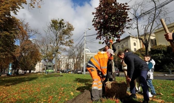 У Львові охочі можуть обрати місце і посадити дерево. Як це зробити