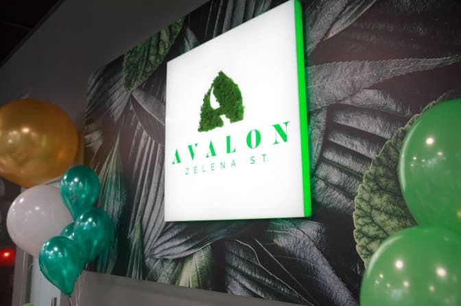 Місто в місті: у Львові відкрили новий центр продажу Avalon Zelena Street