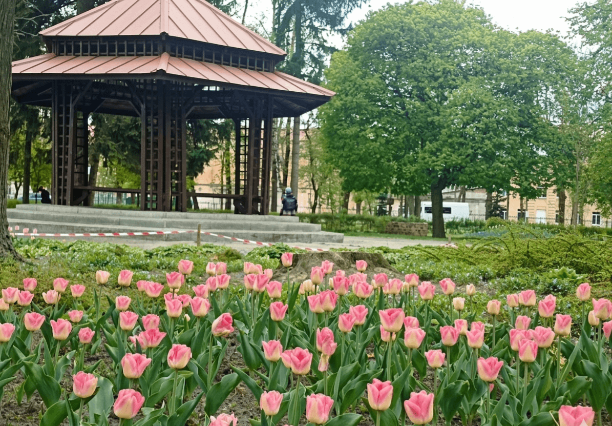 Левандівський парк зацвів тюльпанами / фото ЛМР.