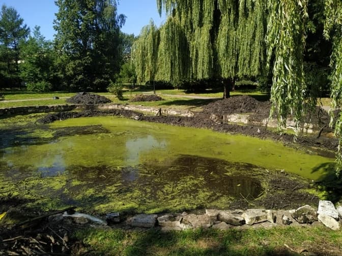 У Львові розчищають ставок у парку Боднарівка. Фото