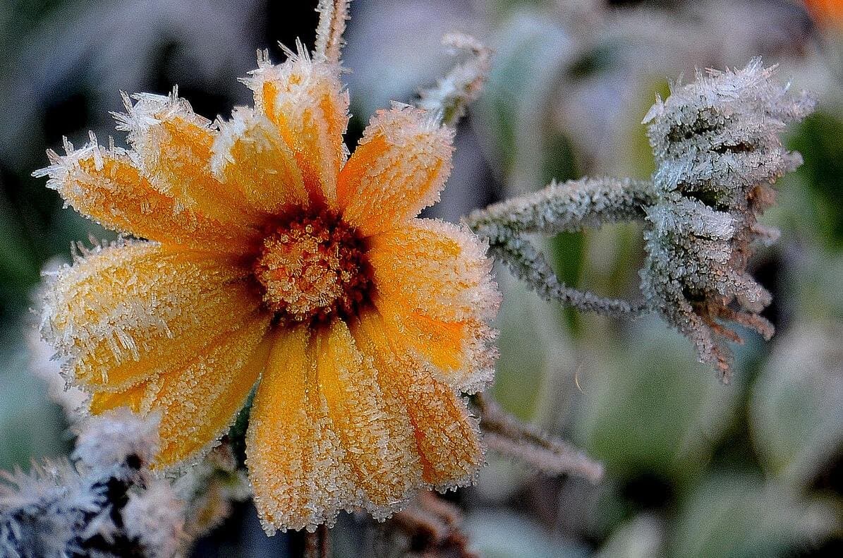 Фото умовне