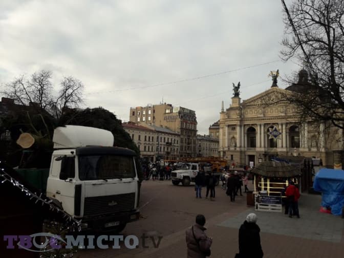 До Львова привезли головну новорічну ялинку міста. Фото дня