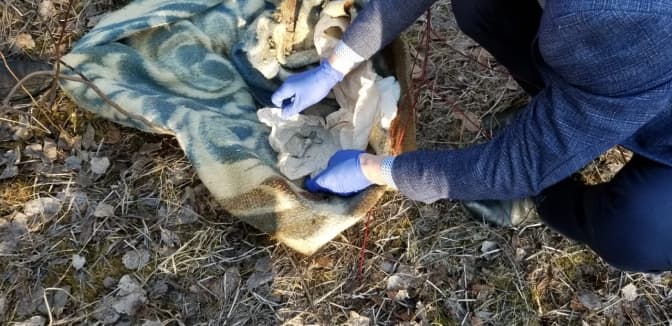 На Львівщині виявили схованку з військовими боєприпасами