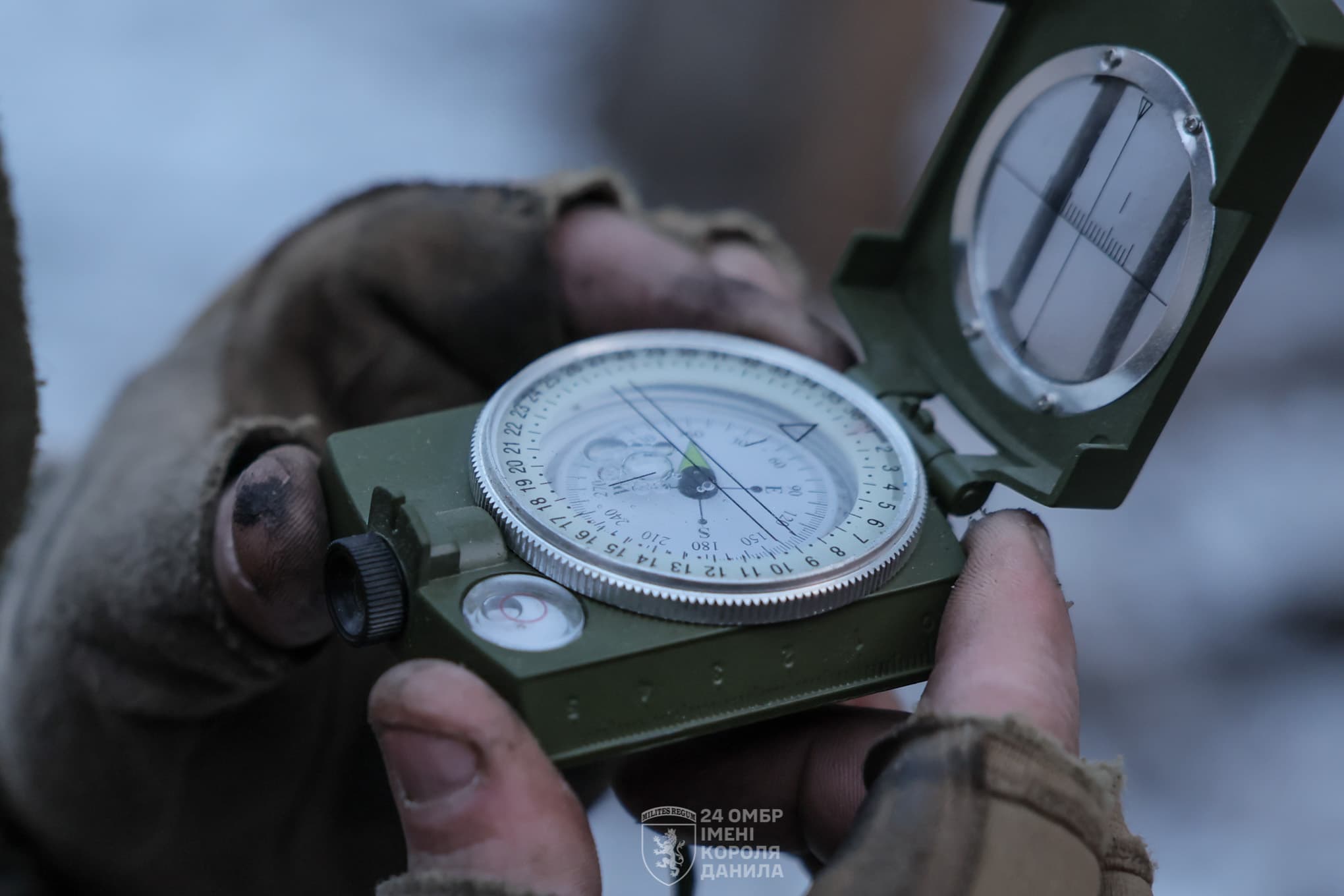 фото: 24 ОМБр імені короля Данила.