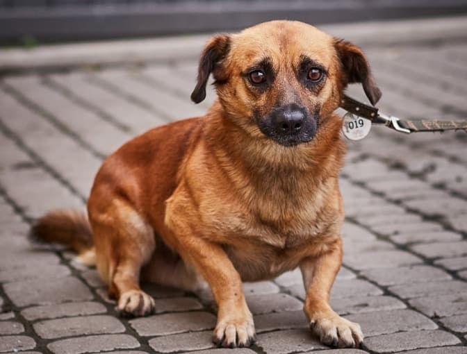 фото: ірина шелест