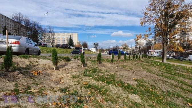 У Львові з'явився «Сад здоров'я». Фото, відео