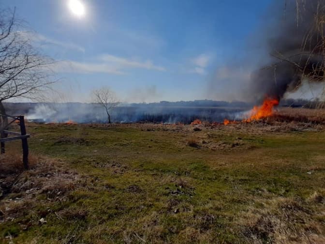 Фото: ДСНС Львівської області