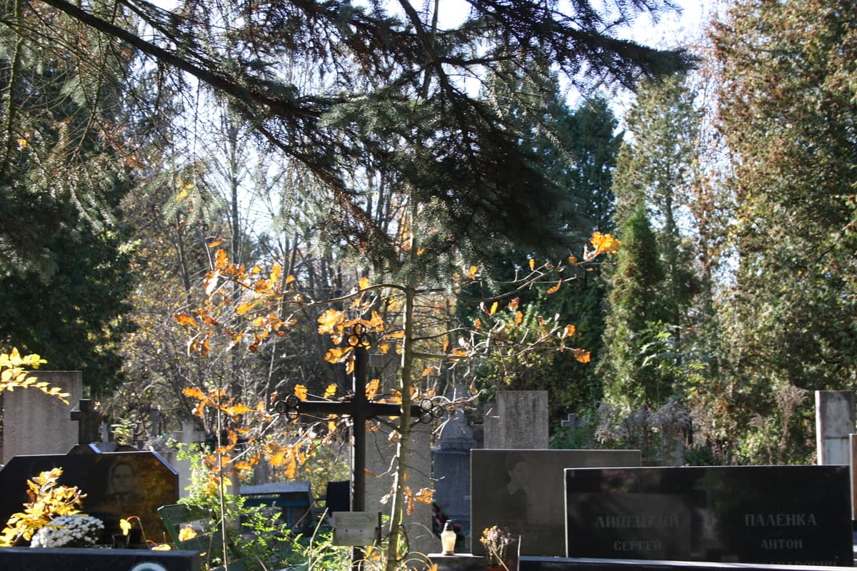 Фото: Олександра Бодняк