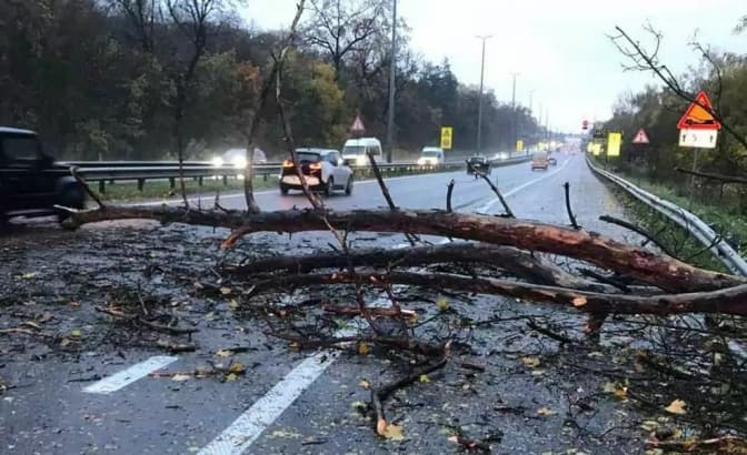 Буревій в Києві був найсильнішим за останні понад 50 років