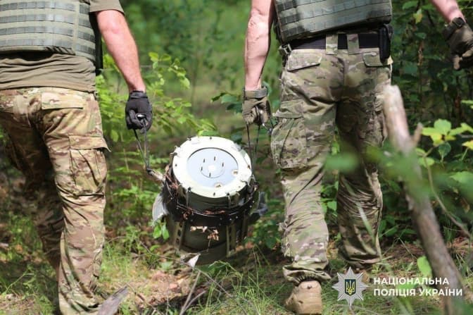 У лісосмузі в Києві після нічної атаки знайшли два ворожі дрони з активними боєприпасами