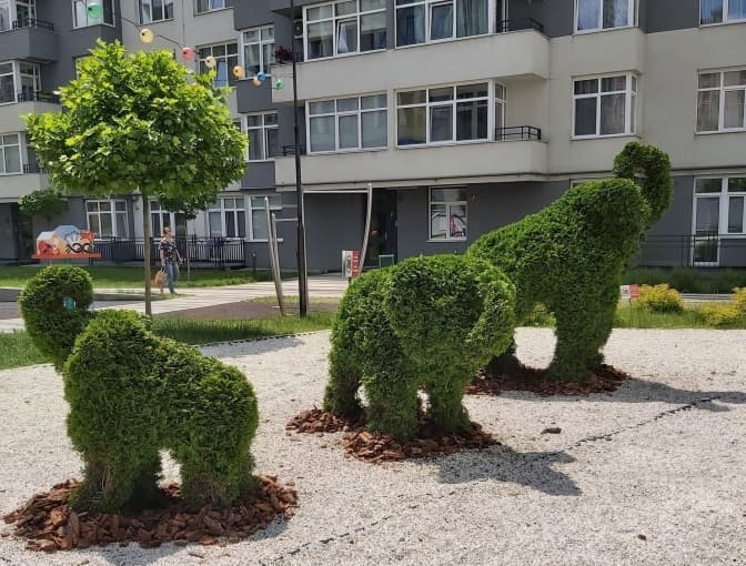Фото: Наталія Верба